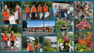 A photo collage of UCo activities including the leadership at Third Thursday, various plant photos from the UW Greenhouse, and photos of orange vested litter patrollers.