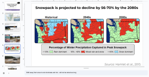 A screenshot of the pNW ambassadors final presentations.