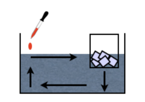 Hadley Cell Lab Instructions Image teacher note