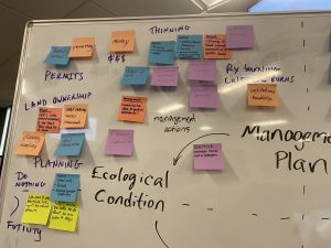 colorful sticky notes on a whiteboard mapping out though processes